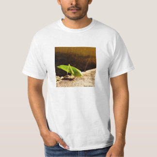 photo by Roque T-shirt