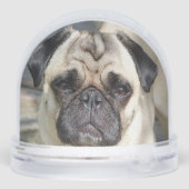 Photo Carlin personnalisée Chien (Arrière)