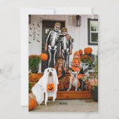 Photo Carte Halloween Éffrayant Citrouille Happy (Dos)