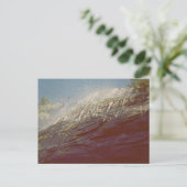 Photo Carte postale 19 Cascade (Debout devant)