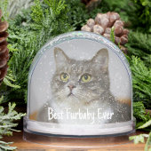 Photo Cat Christmas Snow Globe