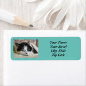 Photo Cat  Etiket (Insitu)