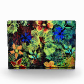 Photo C'est dans les couleurs bloc acrylique (Devant)