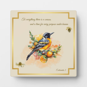 Photo Chanson Oiseau Oriole Plaque Ecclesiastes 3