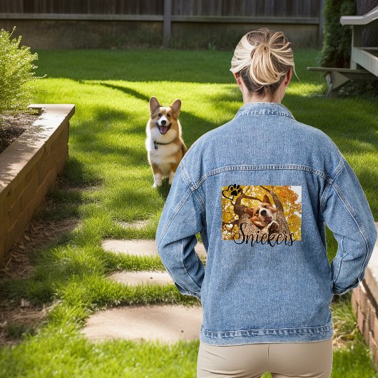 Photo chat chien animal