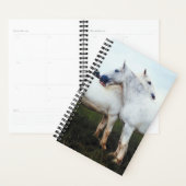 Photo Cheval Percherons Equins Se Cultivant L'Un L (Devant avec enveloppe)