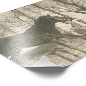 Photo Cheval vintage (Coin)