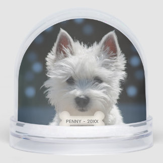 Photo Chien Chien Chien Chien Chien Chien Blanc Pe