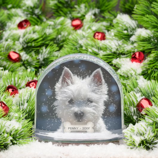 Photo Chien Chien Chien Chien Chien Chien Blanc Pe (Noël)
