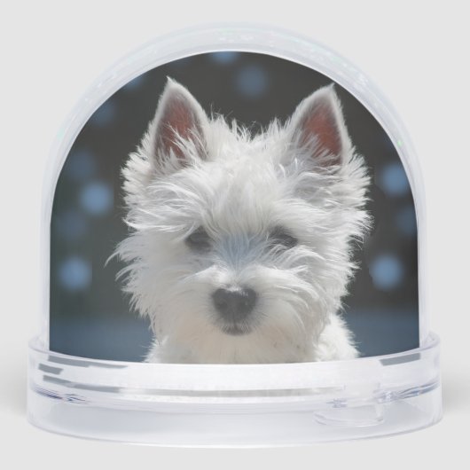 Photo Chien Chien Chien Chien Chien Chien Blanc Pe (Arrière)