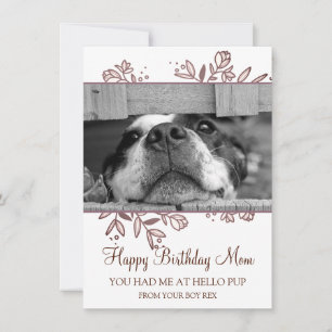 Photo Chien Joyeux Anniversaire De Secourir Carte 