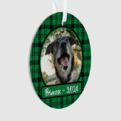 Photo Chien vert et noir plaqué Noël (devant)