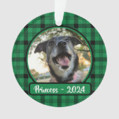 Photo Chien vert et noir plaqué Noël (devant)