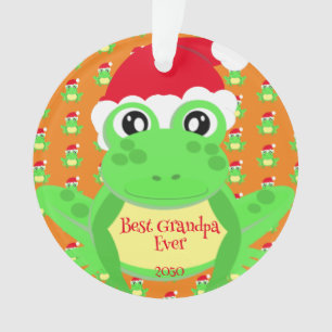 Photo Christmas Orange Frog Santa Hat Motif mignet