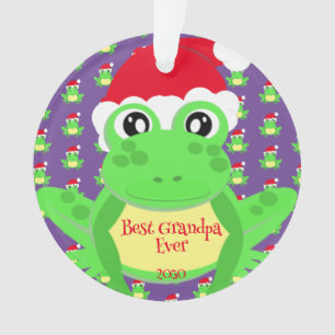 Photo Christmas Purple Frog Santa Hat Motif mignet