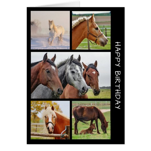 Photo Cinq CHEVAUX Anniversaire Collage Carte Anni (Devant)