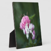 Photo Coeurs brisés alignés sur la plaque (Côté)