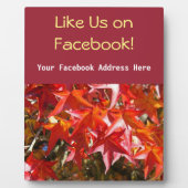 Photo Comme nous Sur Facebook Signal Plaque Automne (Devant)