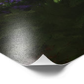 Photo Concerto Cherry Tree (Coin)