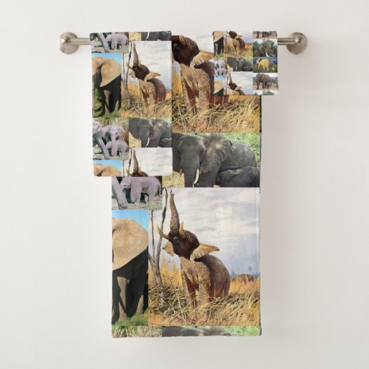 Photo couleur éléphant (En situation)
