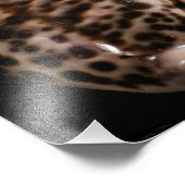 Photo Cowrie Cones (Coin)