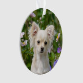 Photo crème aux cheveux longs mignonne de chiot de (devant)