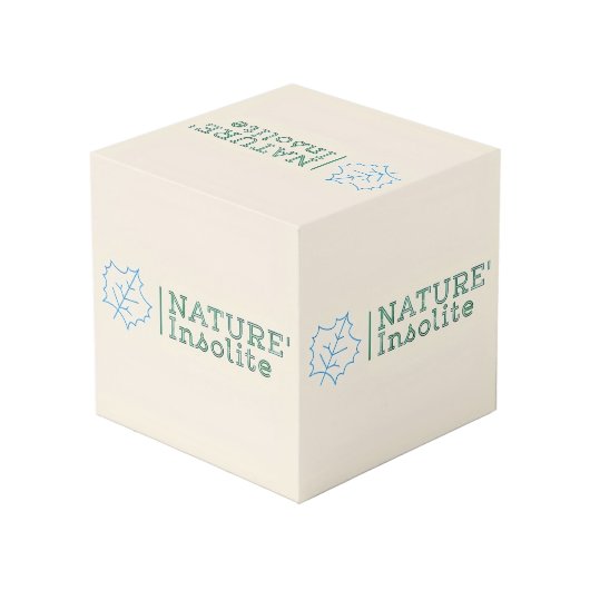 Photo Cube "logo" 10cm (Angle arrière)