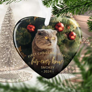Photo d'animal Premier Noël Maison pour toujours É