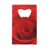 Photo d'arrière - plan de rose rouge (Dos)