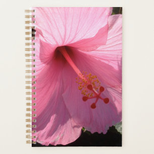 Photo d'art fin de Hibiscus rose Hawaïen