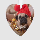 Photo de animal de compagnie avec légende personna (devant)