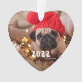 Photo de animal de compagnie avec légende personna (dos)