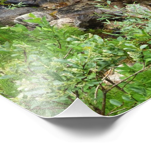 Photo de balai de bébé (Coin)