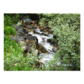 Photo de balai de bébé (Devant)