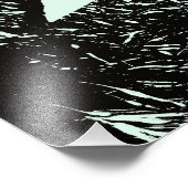 photo de baleine blanche (Coin)