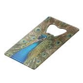 Photo de beau paon avec les plumes écartées (Dos Angle)