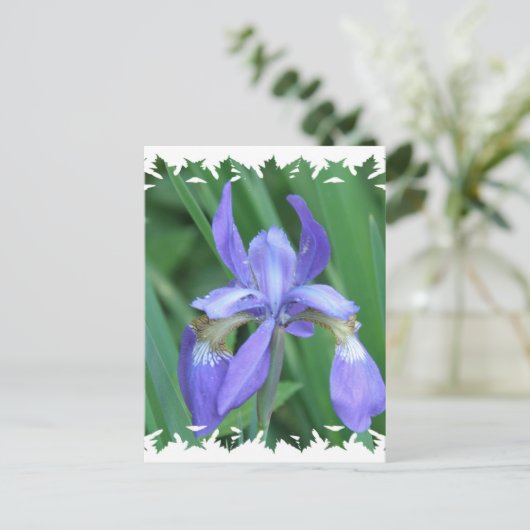 Photo de carte postale Iris (Debout devant)