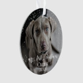 Photo de chat de chien de compagnie Mon premier No (devant)