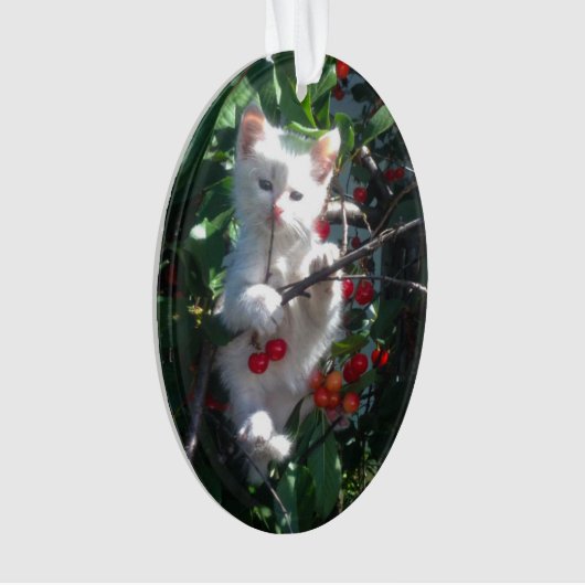 Photo de chat de famille Keepsaké (devant)