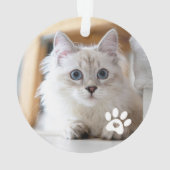 Photo de chat de Noël Meowy (dos)