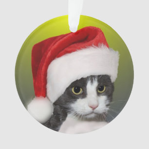 Photo de chat de Noël personnalisée Carol Tuxedo