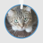 Photo de chat mignon bleu (dos)