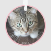 Photo de chat mignon rose (dos)