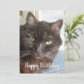 Photo de chat mignonne Bonne carte d'appartement d (Debout devant)