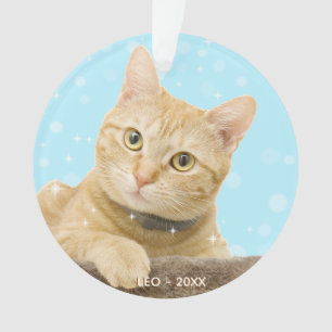 Photo de chat roux personnalisé