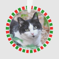 Photo de chat smoking personnalisé et cadre vert r