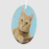 Photo de chat Tabby Ginger personnalisée (devant)