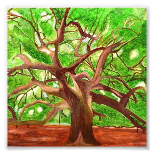 Photo de chêne (Devant)