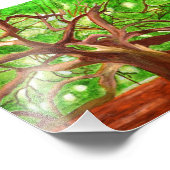 Photo de chêne (Coin)