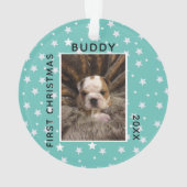 Photo de Chien Chien Chien Chien Chien De Noël (dos)